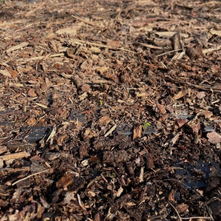Stabil natursti i blødt terræn (4)